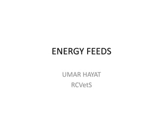 ENERGY FEEDS
UMAR HAYAT
RCVetS
 