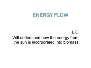 L.O Will understand how the energy from the sun is incorporated into biomass 