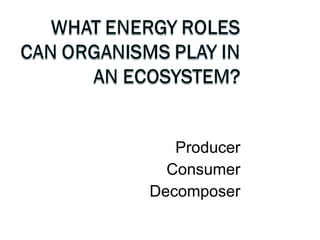 Producer Consumer Decomposer 