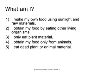 What am I? 1) I make my own food using sunlight and raw materials. 2) I obtain my food by eating other living organisms. 3) I only eat plant material. 4) I obtain my food only from animals. 5) I eat dead plant or animal material. AQA Science © Nelson Thornes Ltd 2006   