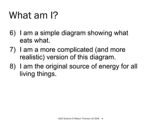 What am I? 6) I am a simple diagram showing what eats what. 7) I am a more complicated (and more realistic) version of this diagram. 8) I am the original source of energy for all living things. AQA Science © Nelson Thornes Ltd 2006   