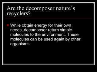 Are the decomposer nature´s recyclers? While obtain energy for their own needs, decomposer return simple molecules to the environment. These molecules can be used again by other organisms. 