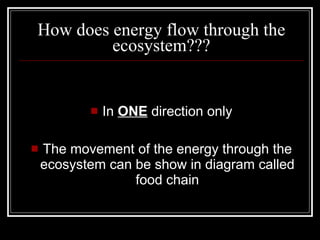 How does energy flow through the ecosystem??? In  ONE  direction only The movement of the energy through the ecosystem can be show in diagram called food chain 