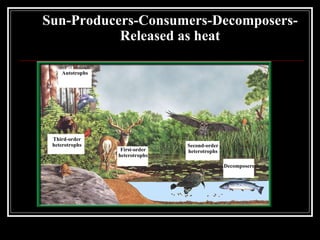 Section 2.2 Summary – pages 46 - 57 Sun-Producers-Consumers-Decomposers- Released as heat Autotrophs First-order heterotrophs Third-order heterotrophs Second-order heterotrophs Decomposers 