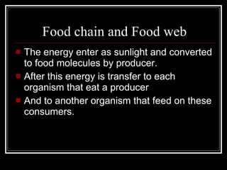 Food chain and Food web The energy enter as sunlight and converted to food molecules by producer. After this energy is transfer to each organism that eat a producer And to another organism that feed on these consumers. 
