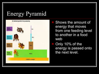 Energy Pyramid Shows the amount of energy that moves from one feeding level to another in a food web Only 10% of the energy is passed onto the next level. 