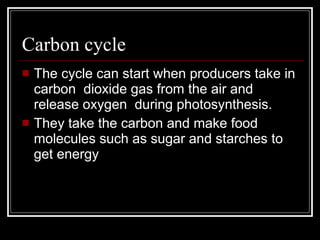 Carbon cycle The cycle can start when producers take in carbon  dioxide gas from the air and release oxygen  during photosynthesis.  They take the carbon and make food molecules such as sugar and starches to get energy  