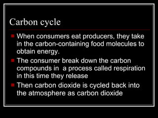 Carbon cycle When consumers eat producers, they take in the carbon-containing food molecules to obtain energy. The consumer break down the carbon compounds in  a process called respiration in this time they release Then carbon dioxide is cycled back into the atmosphere as carbon dioxide 