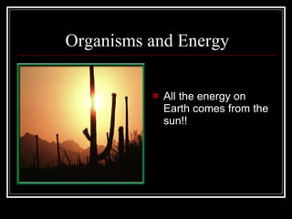 Organisms and Energy All the energy on Earth comes from the sun!! 