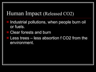 Human Impact  (Released CO2) Industrial pollutions, when people burn oil or fuels.  Clear forests and burn Less trees – less absortion f CO2 from the environment. 