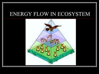 ENERGY FLOW IN ECOSYSTEM 