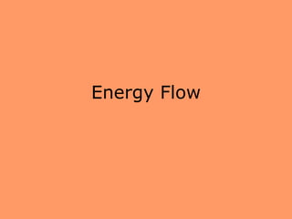 Energy Flow
 