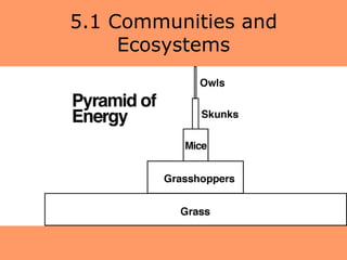 5.1 Communities and
     Ecosystems
 