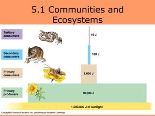 5.1 Communities and
     Ecosystems
 