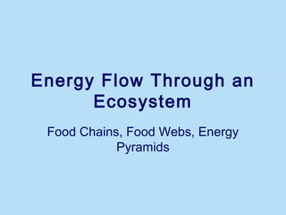 Energy Flow Through an
Ecosystem
Food Chains, Food Webs, Energy
Pyramids
 