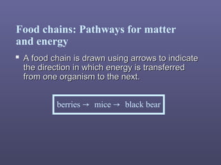Food chains: Pathways for matter
and energy
 A food chain is drawn using arrows to indicateA food chain is drawn using arrows to indicate
the direction in which energy is transferredthe direction in which energy is transferred
from one organism to the next.from one organism to the next.
berries → mice → black bear
 