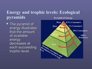 Energy and trophic levels: Ecological
pyramids
 The pyramid ofThe pyramid of
energy illustratesenergy illustrates
that the amountthat the amount
of availableof available
energyenergy
decreases atdecreases at
each succeedingeach succeeding
trophic level.trophic level.
Pyramid of Energy
Heat
Heat
Heat
Heat
0.1% Consumers
1% Consumers
10% Consumers
100%
Producers
Parasites, scavengers, and
decomposers feed at each
level.
 