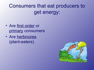 Consumers that eat producers to
get energy:
• Are first order or
primary consumers
• Are herbivores
(plant-eaters)
 