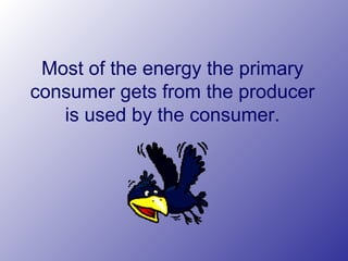 Most of the energy the primary
consumer gets from the producer
is used by the consumer.
 