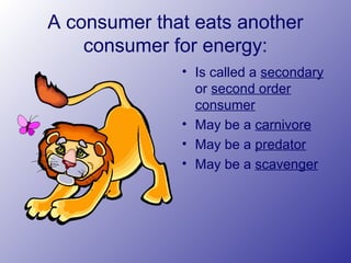 A consumer that eats another
consumer for energy:
• Is called a secondary
or second order
consumer
• May be a carnivore
• May be a predator
• May be a scavenger
 