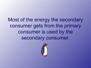 Most of the energy the secondary
consumer gets from the primary
consumer is used by the
secondary consumer.
 