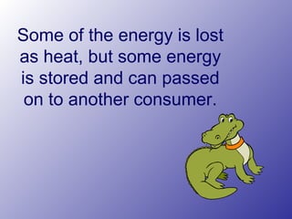 Some of the energy is lost
as heat, but some energy
is stored and can passed
on to another consumer.
 