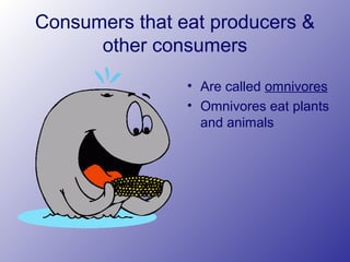 Consumers that eat producers &
other consumers
• Are called omnivores
• Omnivores eat plants
and animals
 
