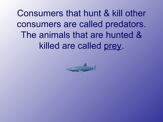 Consumers that hunt & kill other
consumers are called predators.
The animals that are hunted &
killed are called prey.
 