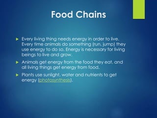 Food Chains 
 Every living thing needs energy in order to live. 
Every time animals do something (run, jump) they 
use energy to do so. Energy is necessary for living 
beings to live and grow. 
 Animals get energy from the food they eat, and 
all living things get energy from food. 
 Plants use sunlight, water and nutrients to get 
energy (photosynthesis). 
 