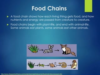 Food Chains 
 A food chain shows how each living thing gets food, and how 
nutrients and energy are passed from creature to creature. 
 Food chains begin with plant-life, and end with animal-life. 
Some animals eat plants, some animals eat other animals. 
http://www.sheppardsoftware.com/content/animals/kidscorner/foodchain/decomposers.htm 
 
