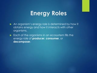 Energy Roles 
 An organism’s energy role is determined by how it 
obtains energy and how it interacts with other 
organisms. 
 Each of the organisms in an ecosystem fills the 
energy role of producer, consumer, or 
decomposer. 
 