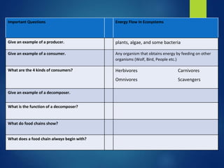 Important Questions Energy Flow In Ecosystems 
Give an example of a producer. plants, algae, and some bacteria 
Give an example of a consumer. Any organism that obtains energy by feeding on other 
organisms (Wolf, Bird, People etc.) 
What are the 4 kinds of consumers? Herbivores Carnivores 
Omnivores Scavengers 
Give an example of a decomposer. 
What is the function of a decomposer? 
What do food chains show? 
What does a food chain always begin with? 
 