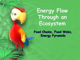 1
Energy Flow
Through an
Ecosystem
Food Chains, Food Webs,Food Chains, Food Webs,
Energy PyramidsEnergy Pyramids
 