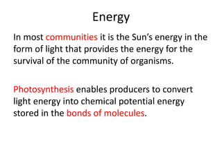 Energy
In most communities it is the Sun’s energy in the
form of light that provides the energy for the
survival of the community of organisms.
Photosynthesis enables producers to convert
light energy into chemical potential energy
stored in the bonds of molecules.
 