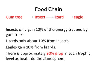 Food Chain
Gum tree insect lizard eagle
Insects only gain 10% of the energy trapped by
gum trees.
Lizards only about 10% from insects.
Eagles gain 10% from lizards.
There is approximately 90% drop in each trophic
level as heat into the atmosphere.
 