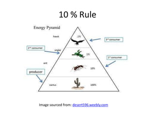 10 % Rule
Image sourced from: desert596.weebly.com
 
