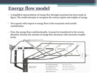 Energy flow | PPTX
