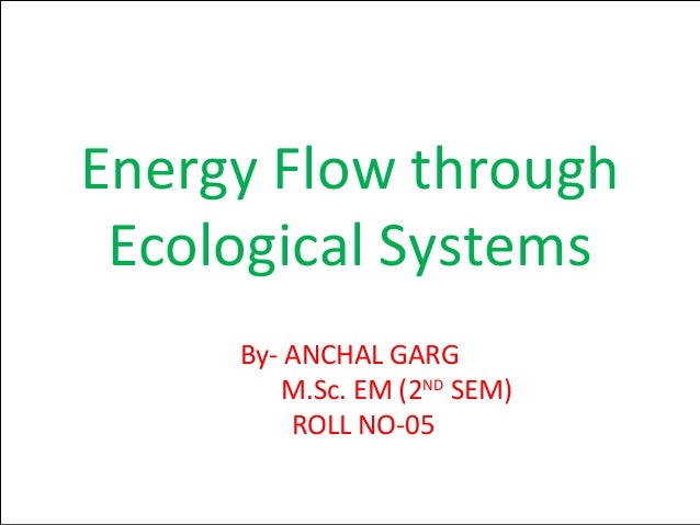 Energy Flow By Using Energy Models In Ecosystem