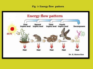 Fig 7: Energy flow pattern
 