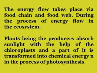 The energy flow takes place via
food chain and food web. During
the process of energy flow in
the ecosystem.
Plants being the producers absorb
sunlight with the help of the
chloroplasts and a part of it is
transformed into chemical energy n
in the process of photosynthesis.
 