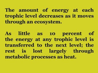 The amount of energy at each
trophic level decreases as it moves
through an ecosystem.
As little as 10 percent of
the energy at any trophic level is
transferred to the next level; the
rest is lost largely through
metabolic processes as heat.
 
