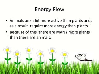 Energy Flow
• Animals are a lot more active than plants and,
as a result, require more energy than plants.
• Because of this, there are MANY more plants
than there are animals.
 