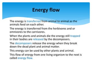 Energy flow and nutrient cycles | PPTX