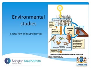 Environmental
studies
Energy flow and nutrient cycles
 