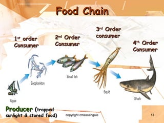 13
Food ChainFood Chain
ProducerProducer ((trappedtrapped
sunlight & stored food)sunlight & stored food)
11stst
orderorder
ConsumerConsumer
22ndnd
OrderOrder
ConsumerConsumer
33rdrd
OrderOrder
consumerconsumer
44thth
OrderOrder
ConsumerConsumer
copyright cmassengale
 
