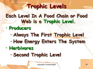 16
Trophic LevelsTrophic Levels
Each Level In A Food Chain or FoodEach Level In A Food Chain or Food
Web is aWeb is a Trophic LevelTrophic Level..
• ProducersProducers
– Always The First Trophic LevelAlways The First Trophic Level
– How Energy Enters The SystemHow Energy Enters The System
• HerbivoresHerbivores
– Second Trophic LevelSecond Trophic Level
copyright cmassengale
 