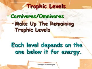 17
Trophic LevelsTrophic Levels
• Carnivores/OmnivoresCarnivores/Omnivores
– Make Up The RemainingMake Up The Remaining
Trophic LevelsTrophic Levels
Each level depends on theEach level depends on the
one below it for energy.one below it for energy.
copyright cmassengale
 