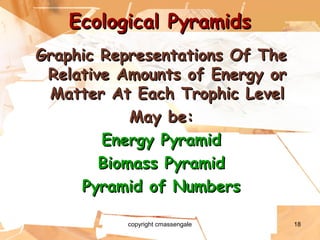 18
Ecological PyramidsEcological Pyramids
Graphic Representations Of TheGraphic Representations Of The
Relative Amounts of Energy orRelative Amounts of Energy or
Matter At Each Trophic LevelMatter At Each Trophic Level
May be:May be:
Energy PyramidEnergy Pyramid
Biomass PyramidBiomass Pyramid
Pyramid of NumbersPyramid of Numbers
copyright cmassengale
 