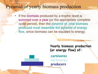 Pyramid of yearly biomass production
• If the biomass produced by a trophic level is
summed over a year (or the appropriate complete
cycle period), then the pyramid of total biomass
produced must resemble the pyramid of energy
flow, since biomass can be equated to energy.
producers
herbivores
carnivores
Yearly biomass production
(or energy flow) of:
 