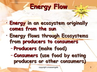 3
Energy FlowEnergy Flow
• EnergyEnergy in an ecosystem originallyin an ecosystem originally
comes from the suncomes from the sun
• Energy flows through EcosystemsEnergy flows through Ecosystems
fromfrom producers to consumersproducers to consumers
– ProducersProducers (make food)(make food)
– ConsumersConsumers (use food by eating(use food by eating
producers or other consumers)producers or other consumers)
copyright cmassengale
 